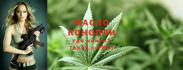 сатива Володарск