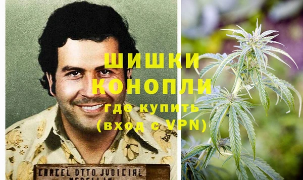 сатива Володарск