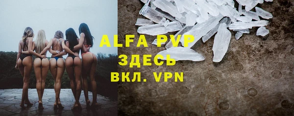 сатива Володарск