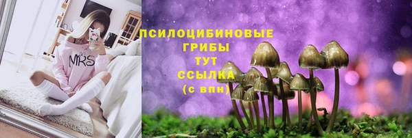 гашик Волосово