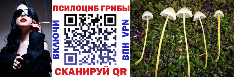 Галлюциногенные грибы GOLDEN TEACHER  shop официальный сайт  Верхнеуральск 